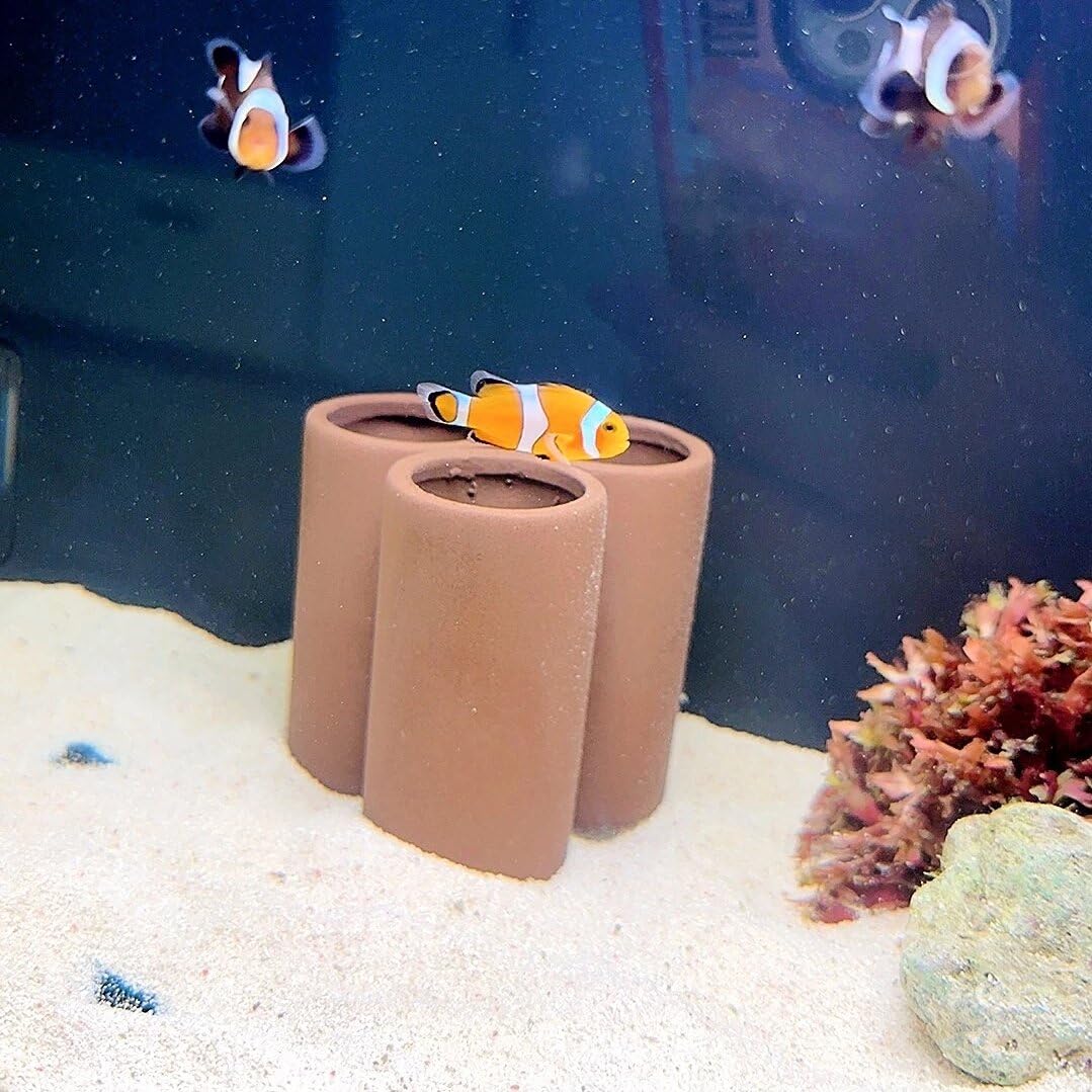 OrgMemory ceramica decorativa para acuario: seguro, no tóxico y apta para vivir.