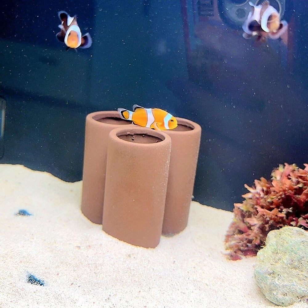 OrgMemory ceramica decorativa para acuario: seguro, no tóxico y apta para vivir.