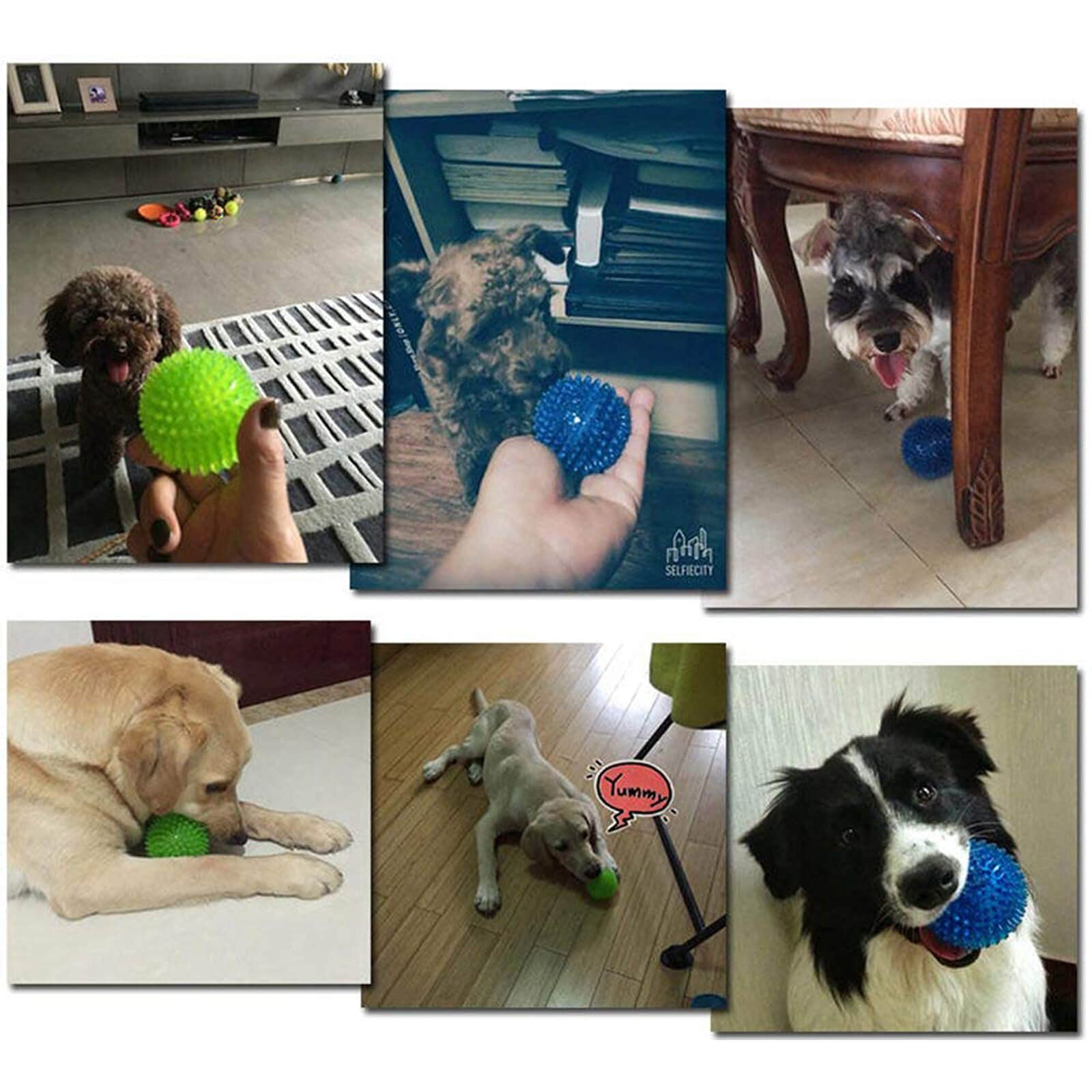 Orgrimmar bola para perro entretenimiento con sonido interno