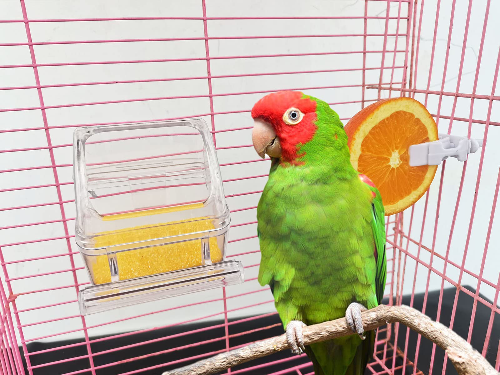ORIBUKI cuenco-agua claro para aves; diseño sin desorden