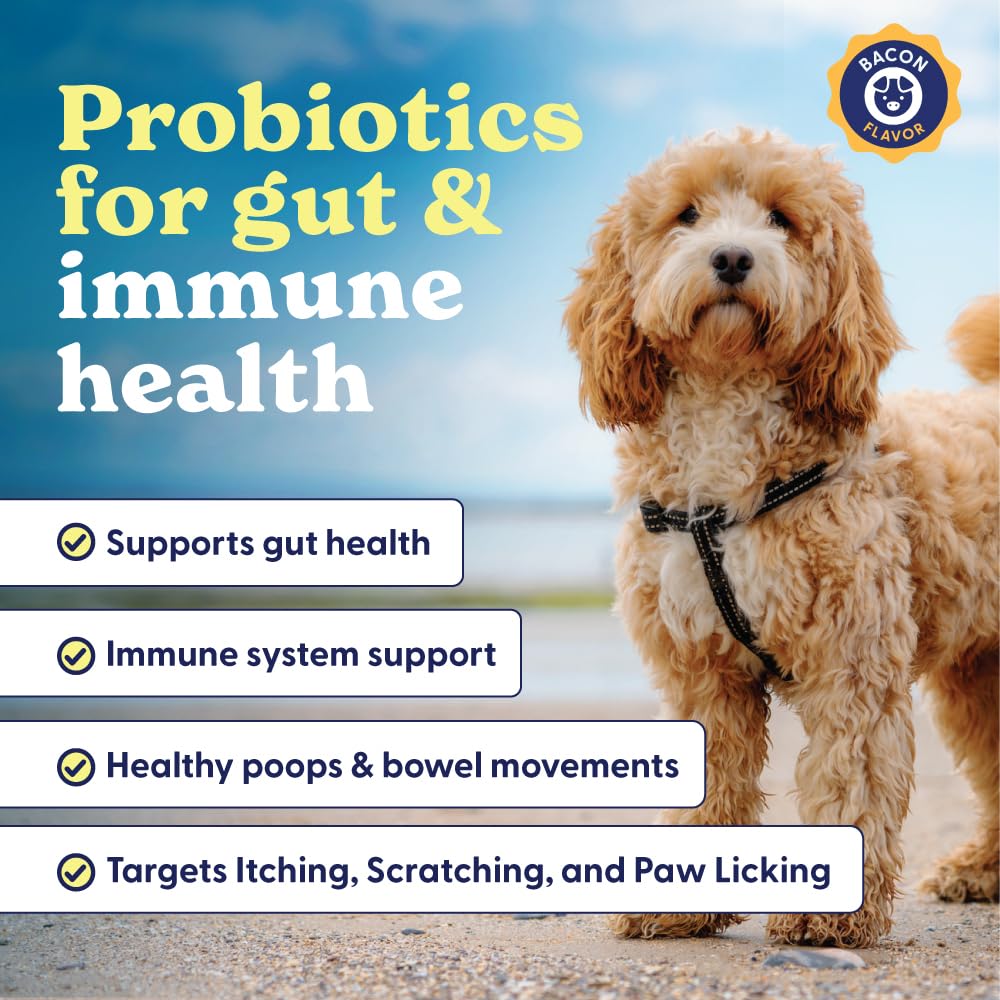 Etiqueta del producto Belly Buddies con información de ingredientes