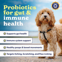 Etiqueta del producto Belly Buddies con información de ingredientes