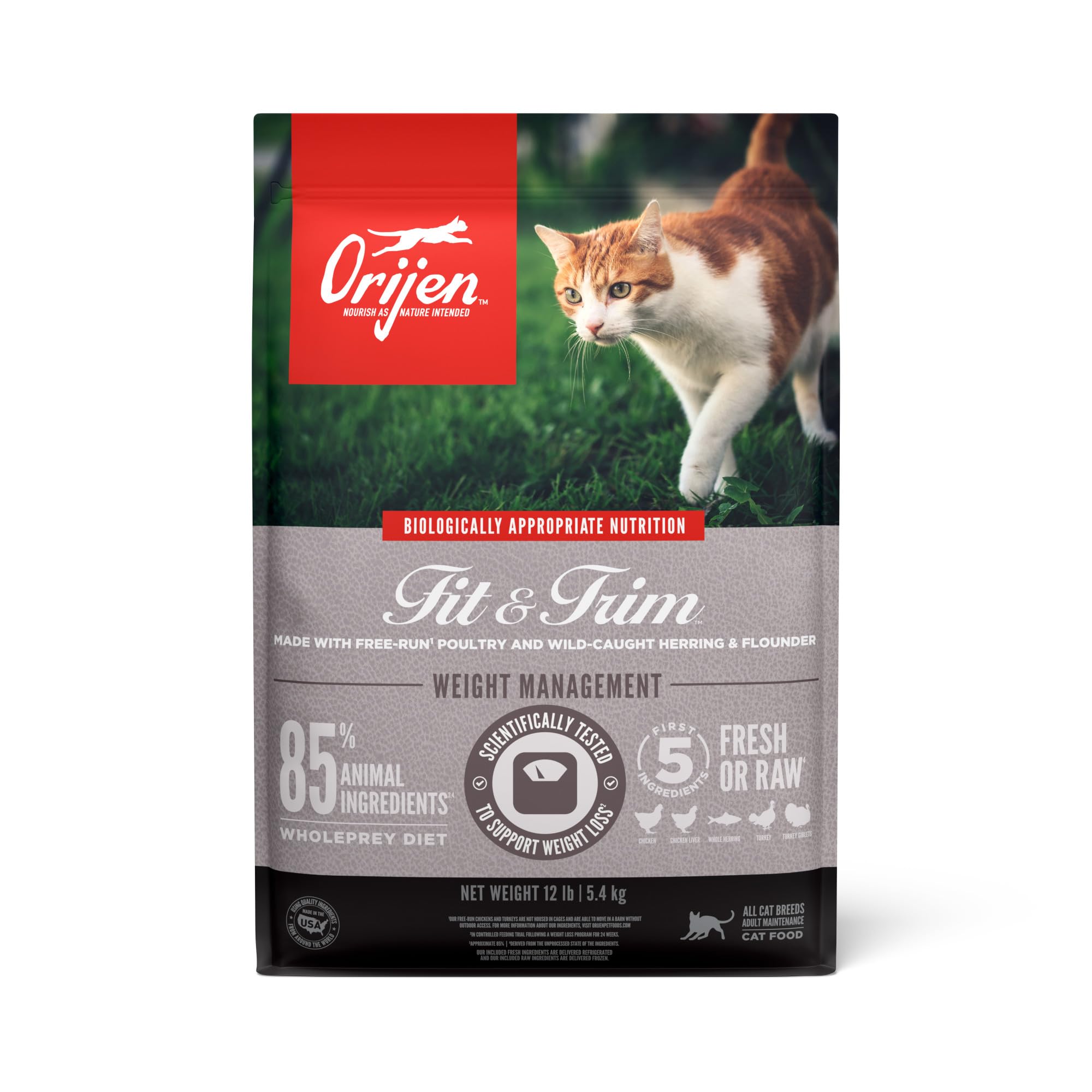 ORIJEN Fit & Trim croquetas sin grano para gatos favorecen masa muscular magra
