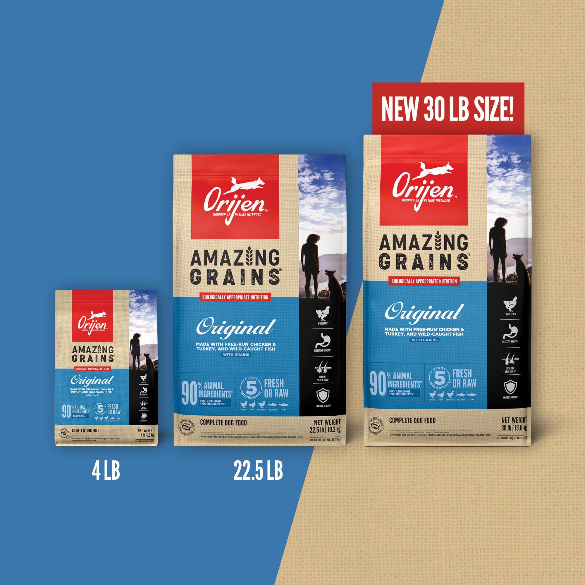 Granos no GMO: avena, quinoa y chía para fibra equilibrada