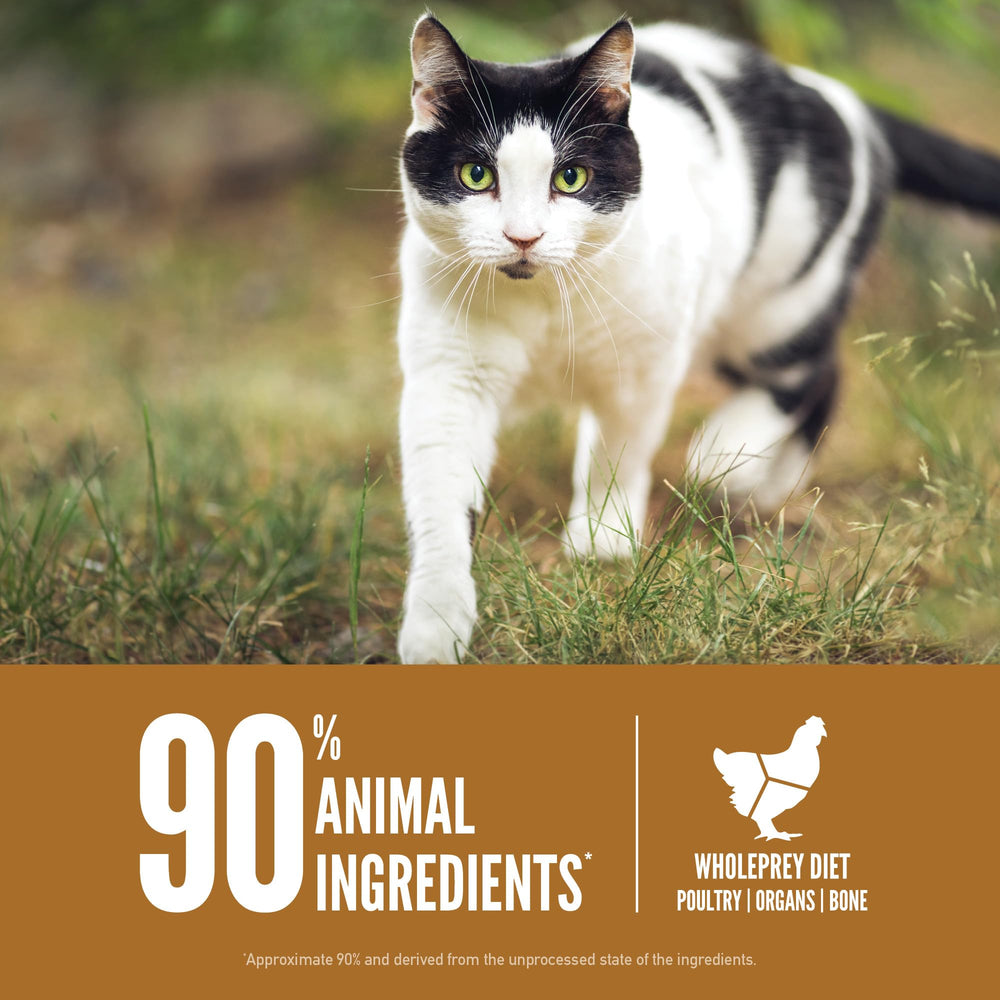 ORIJEN Original Gato: receta de presa completa para nutrición equilibrada