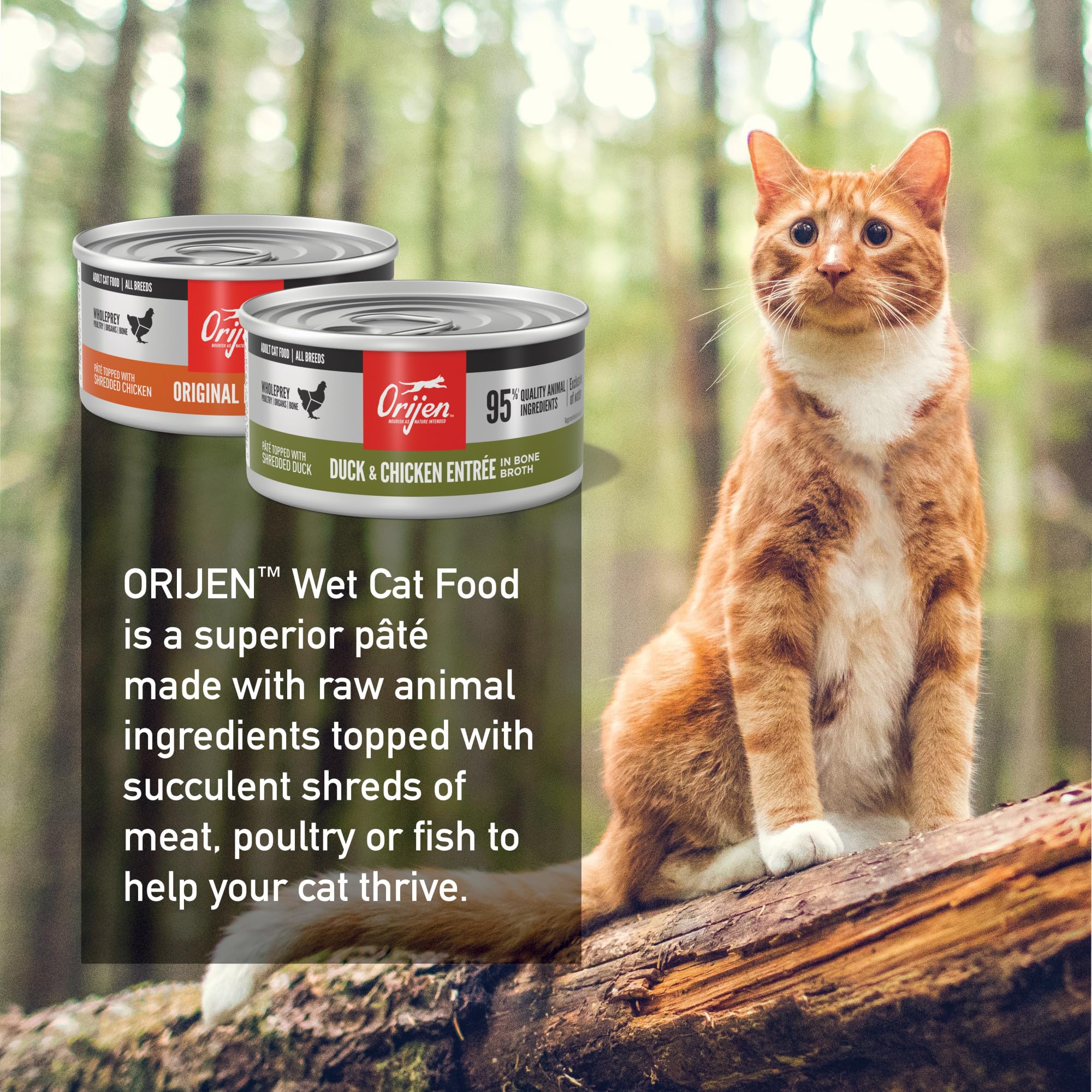 ORIJEN Paté Textura Cremosa: lata para gatos con consistencia suave y apetecible.
