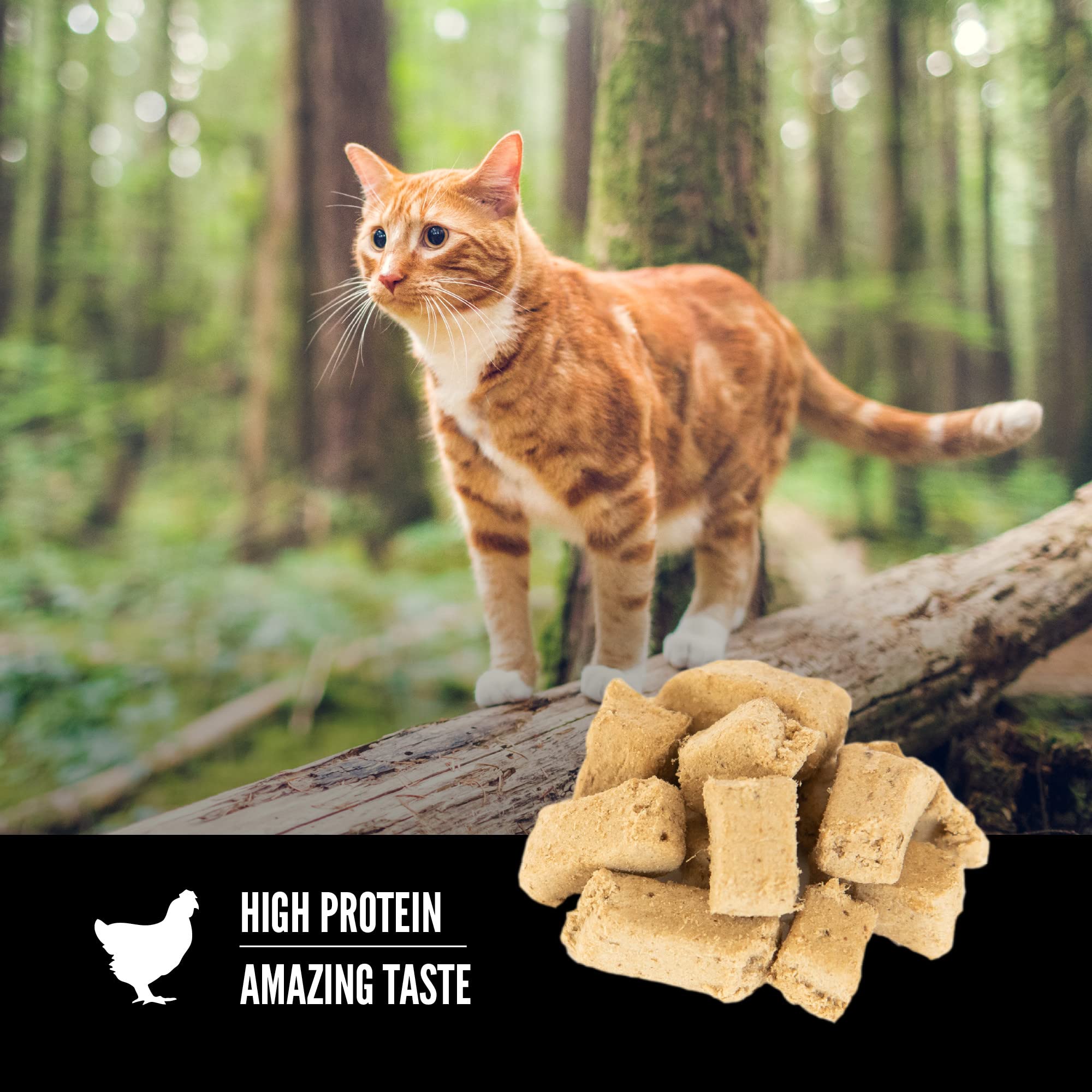 ORIJEN Original, alto contenido proteico con ingredientes de calidad para gatos activos.