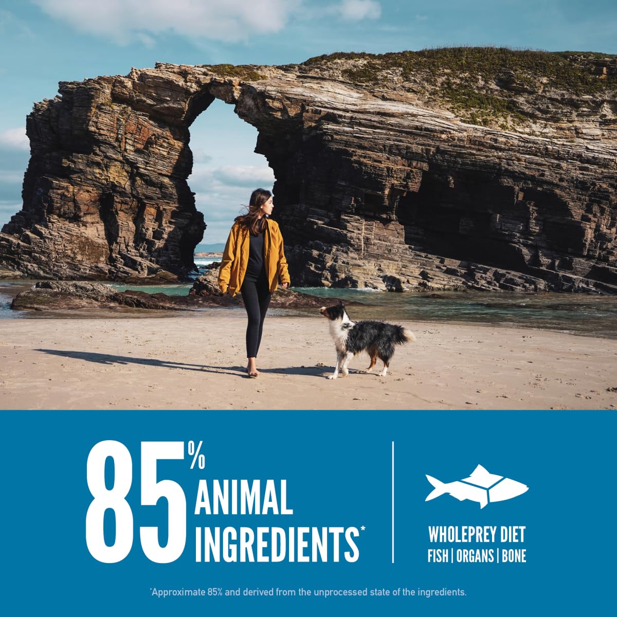 ORIJEN primeros seis ingredientes: pescados enteros para una proteína sólida.