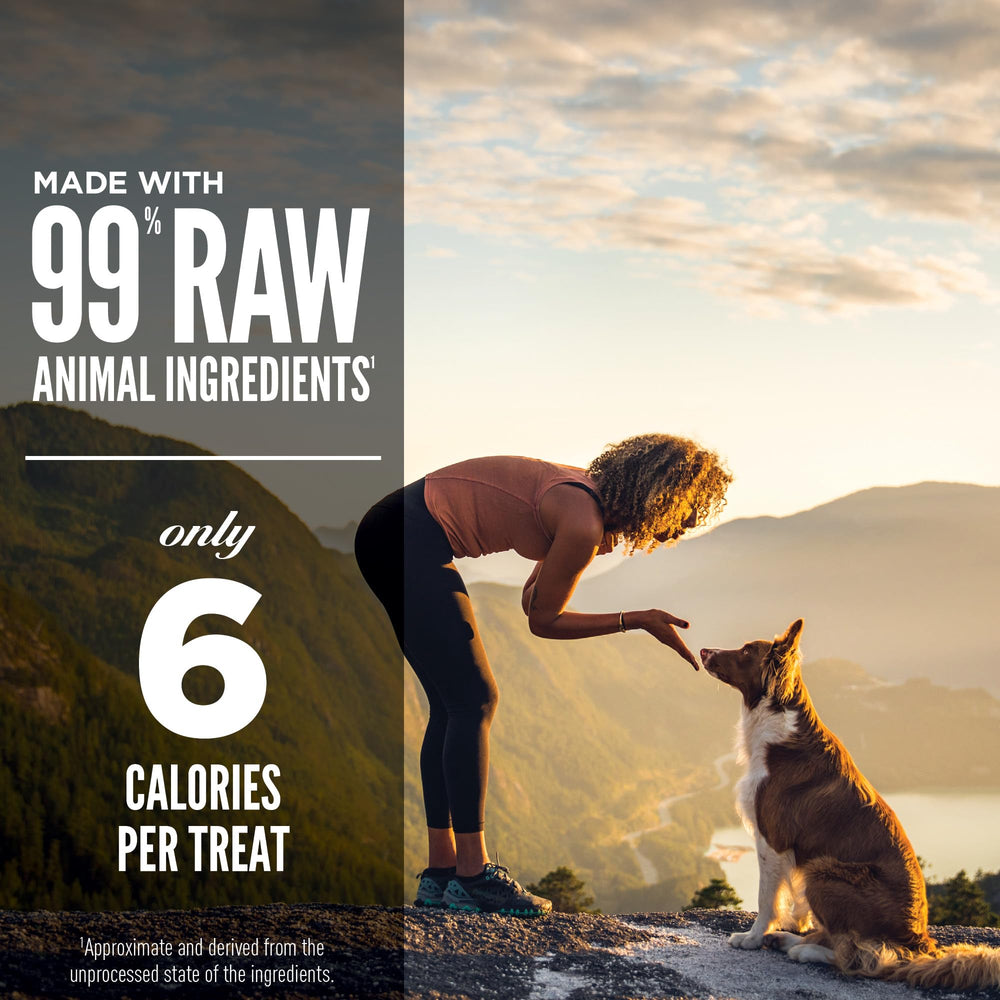 ORIJEN Regional Red, higado-cabra-jabali-cordero, sabores intensos para perros curiosos.
