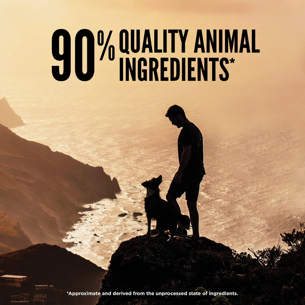 Proteína alta de ORIJEN Regional Red para perros activos.