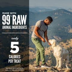 ORIJEN TUNDRA: práctico snack de viaje para perros activos.