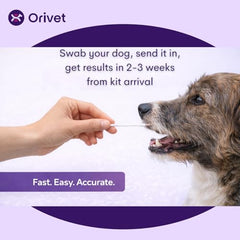 ORIVET marcadores genéticos de salud canina para cuidado preventivo