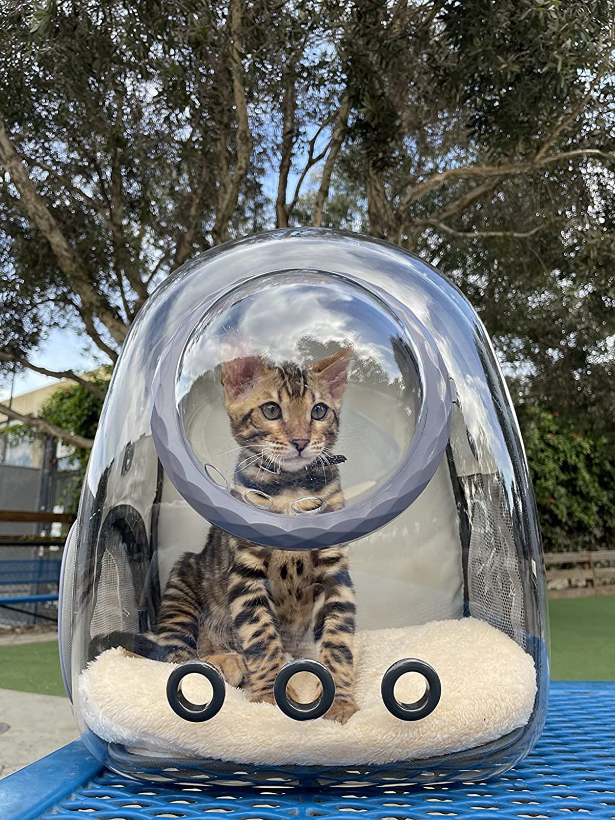 ORIZZP Portabebés multi-mascotas compacto para gatos, conejos y perros pequeños.