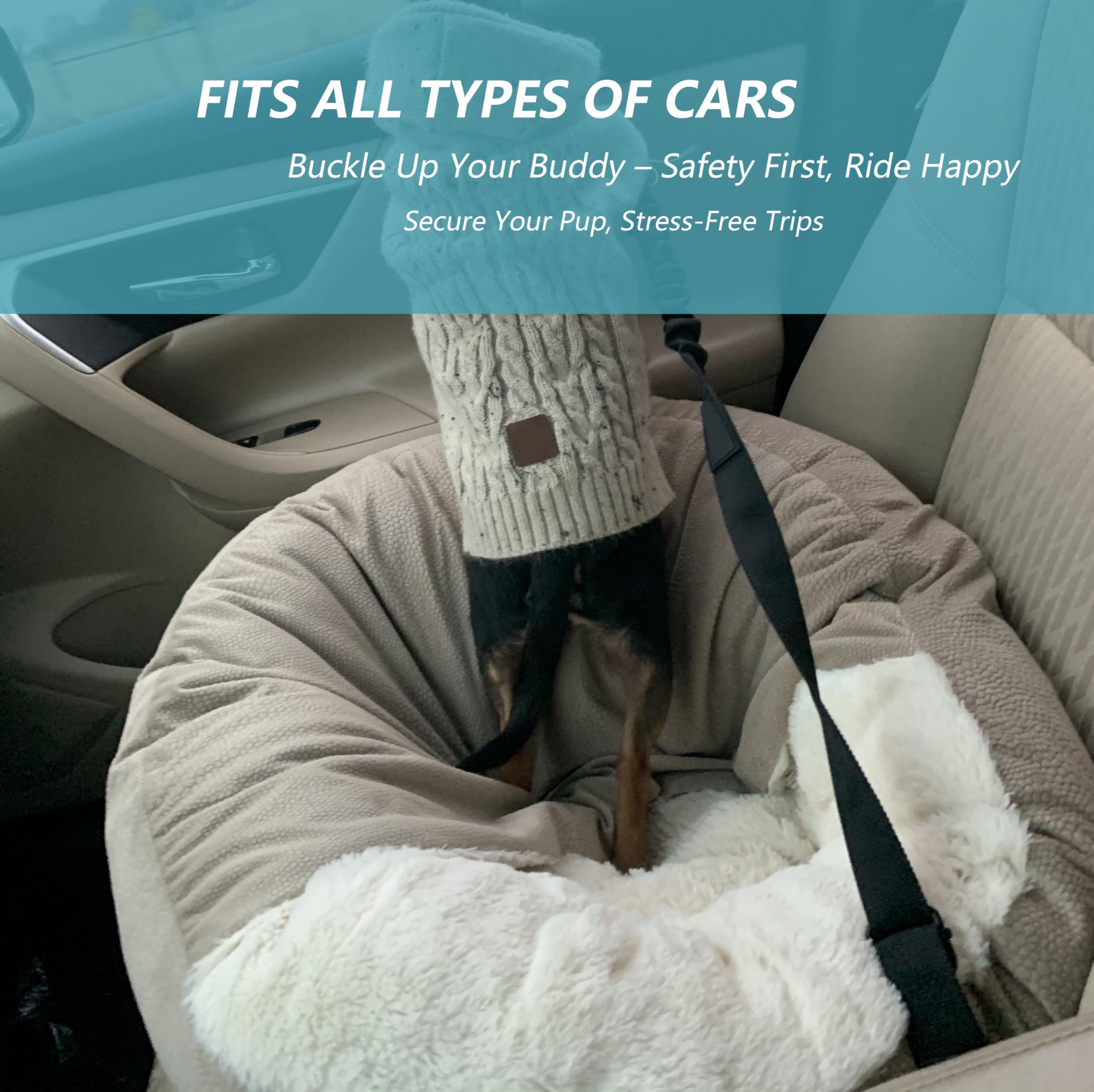 Ortarco Arnés para perro en coche, seguridad y comodidad