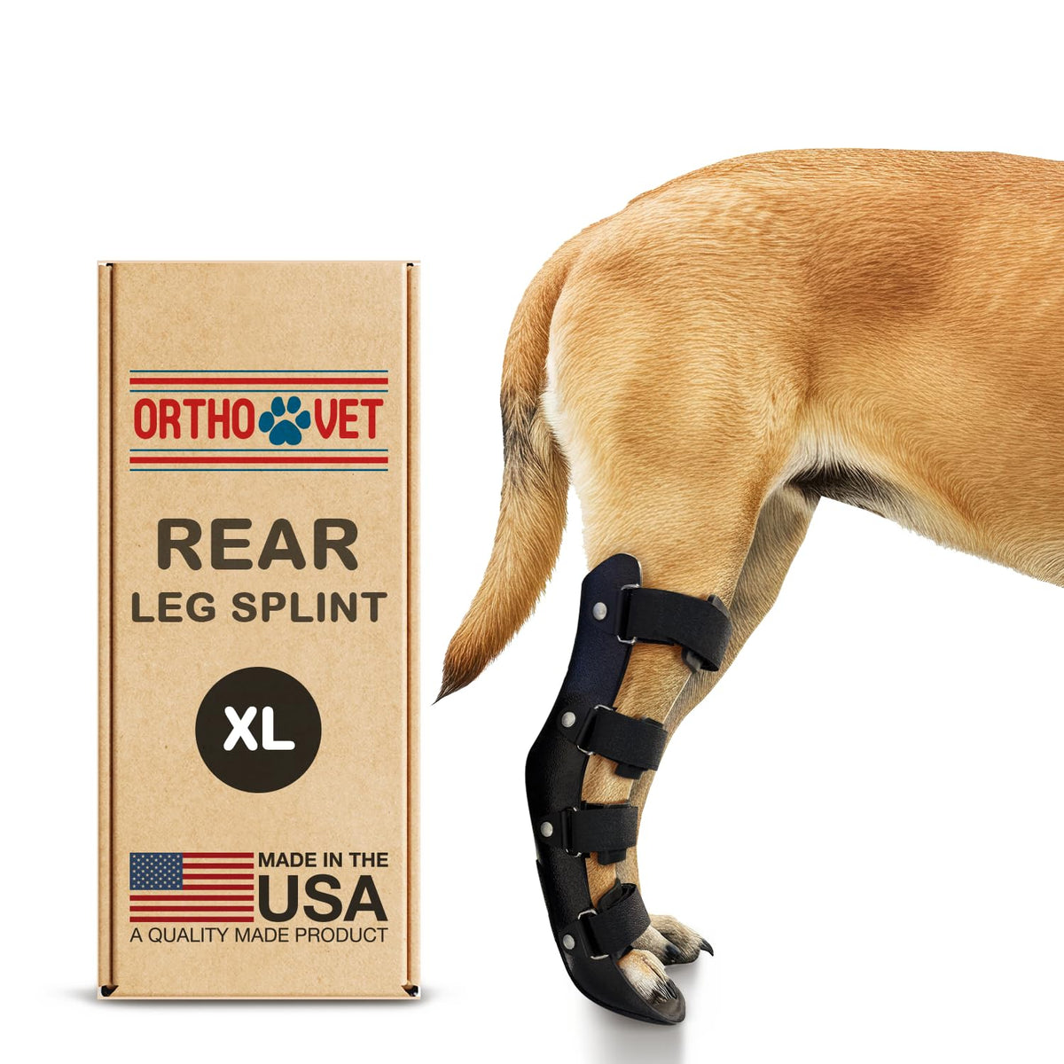 OrthoVet fe9rula trasera para perro en uso, soporte estable para recuperacif3n