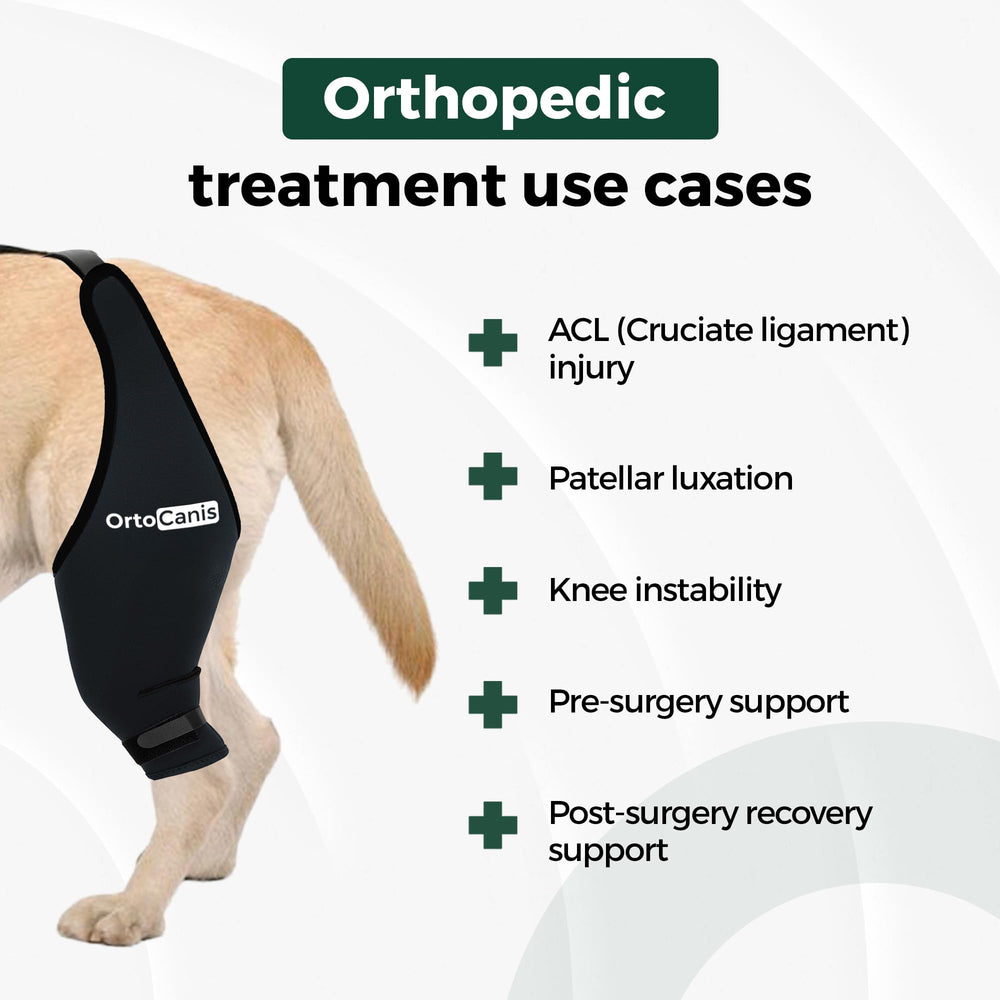 Ortocanis rodilla-perro-recuperacion: movimiento controlado durante rehabilitación.