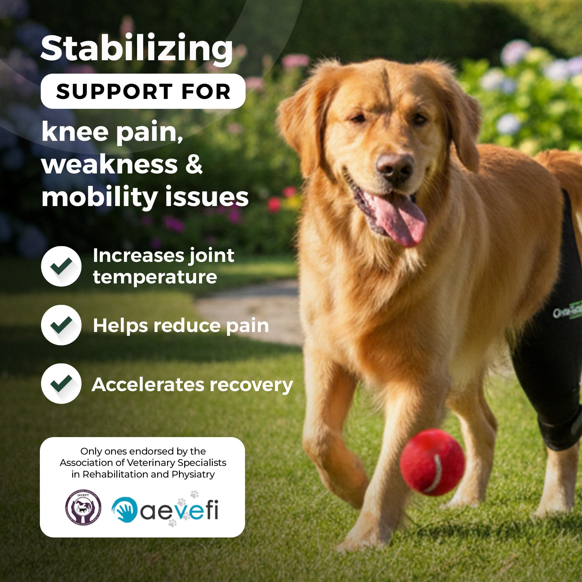 Ortocanis rodilla-perro-compresion suave para mejora de circulación y confort.