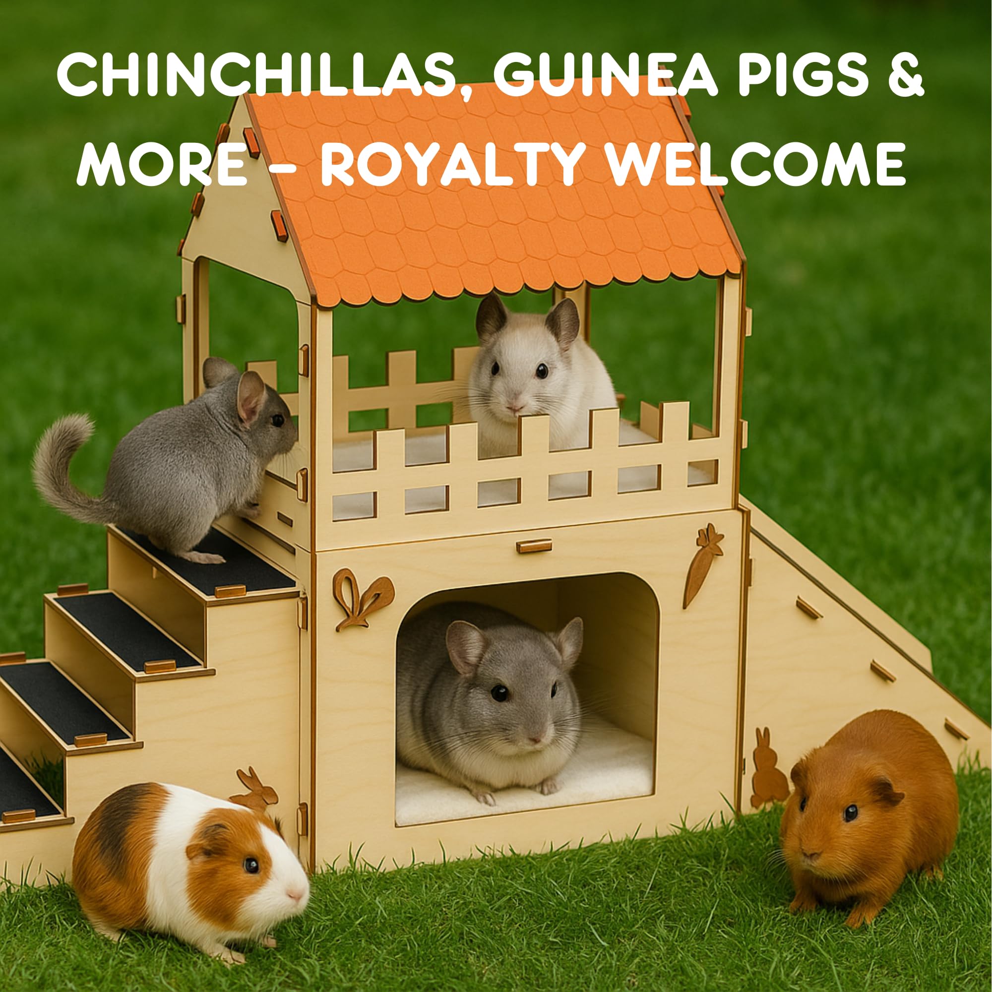 OtterPets: acabado de madera apto para mascotas y seguro