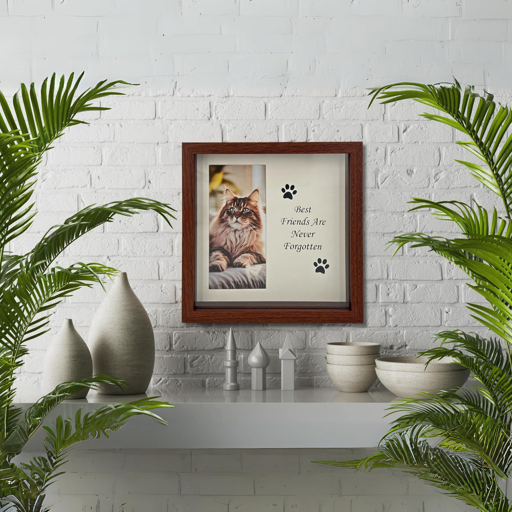 OtterPets kit cuatro modos exhibicion – opciones versátiles para el marco.
