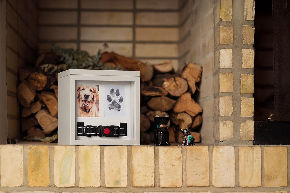 OtterPets urna para perros y gatos, recuerdo duradero y respetuoso
