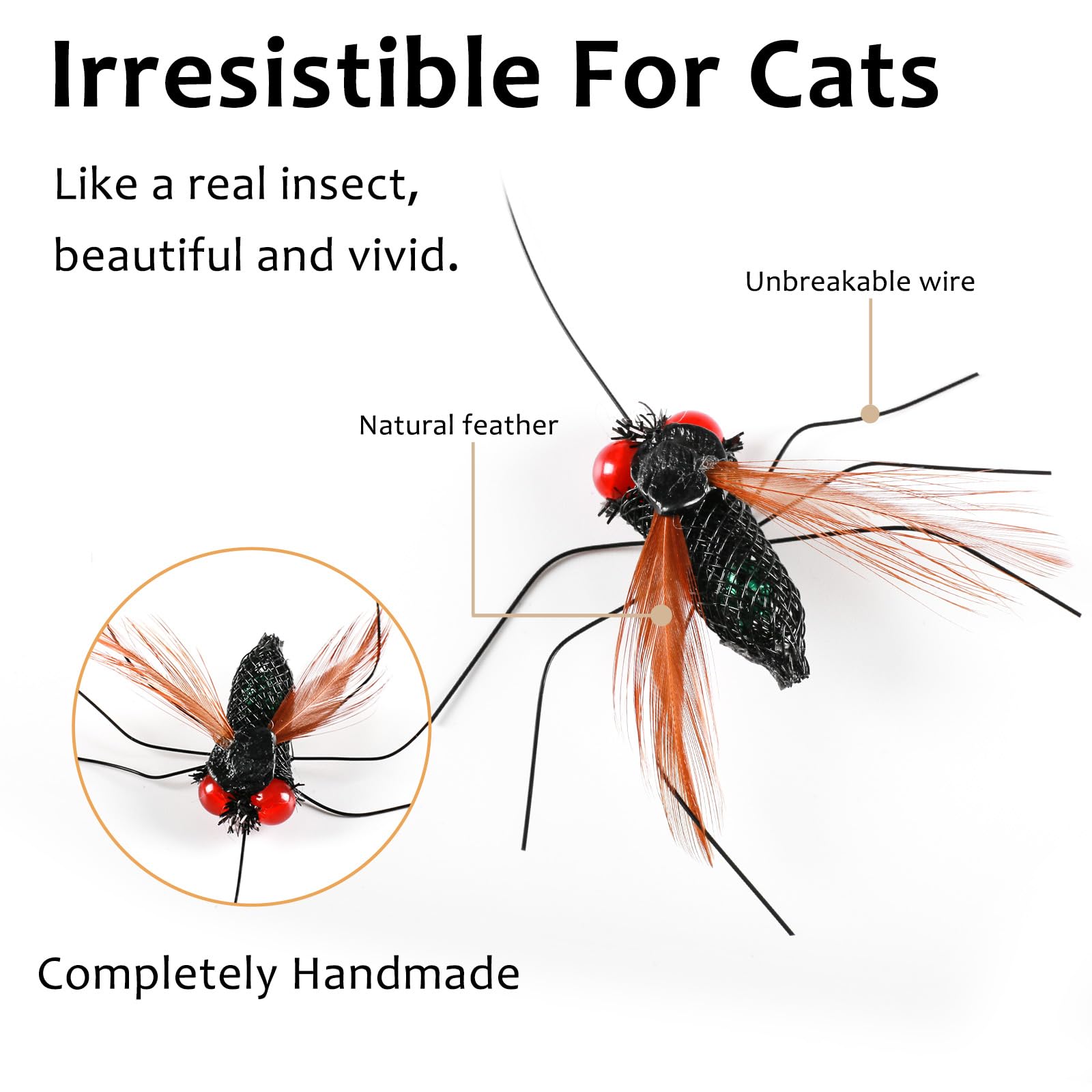 Ottmat insecto volador araña, movimientos ligeros para curiosidad felina.