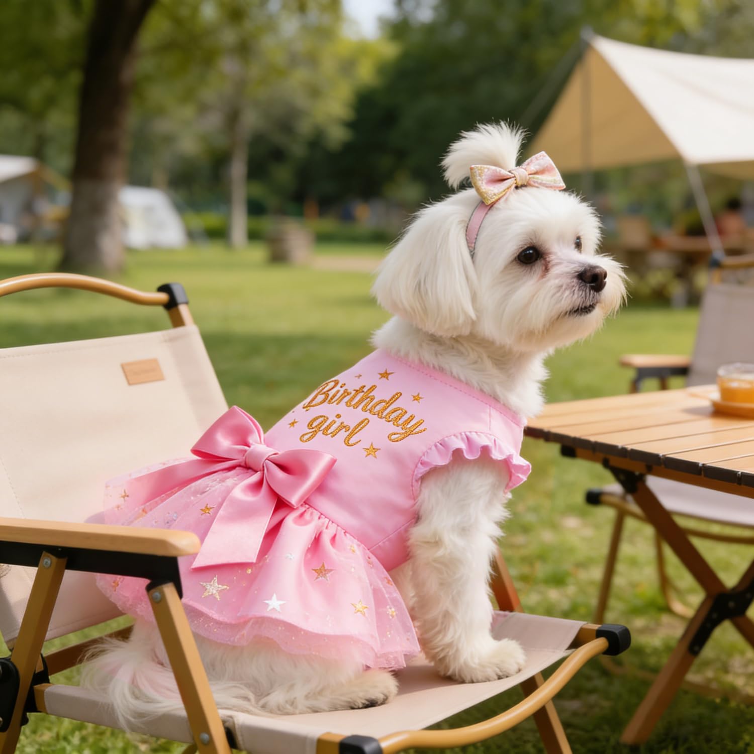 Otunrues vestido infantil para mascotas, encaje suave y cómodo para uso diario.