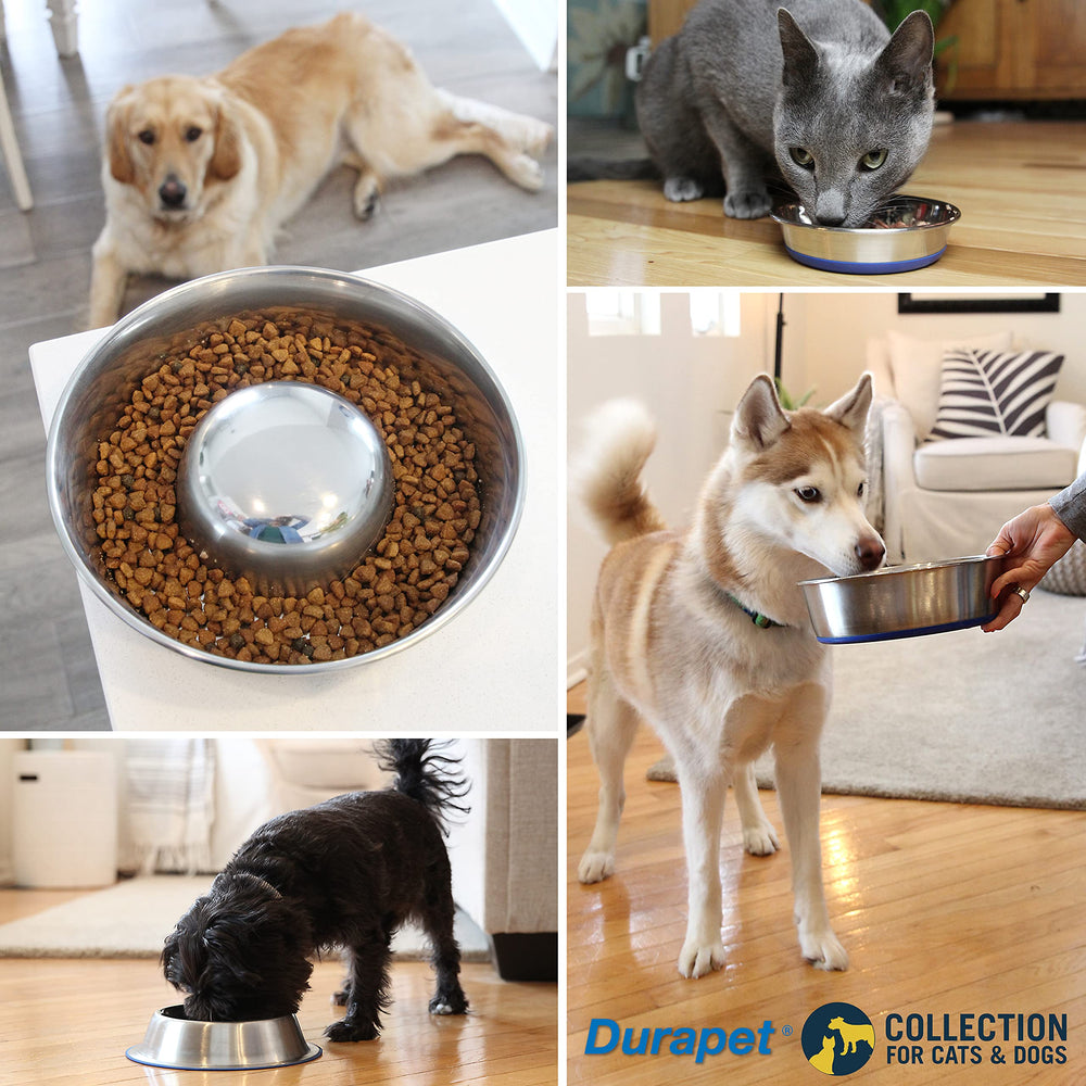 Our Pets DuraPet tazón de 2,25 tazas para perros de tamaño medio