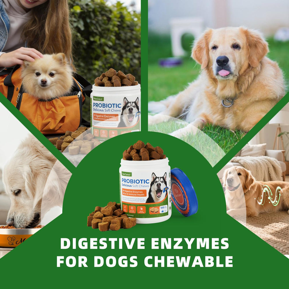 OurCares masticables con enzimas digestivas para mejor absorcion.