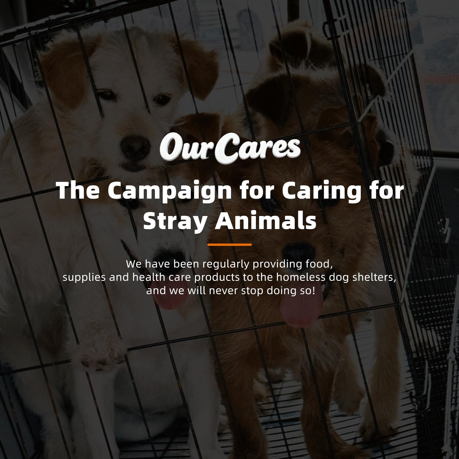 OurCares masticables probioticos, posible apoyo inmunologico para perros activos.
