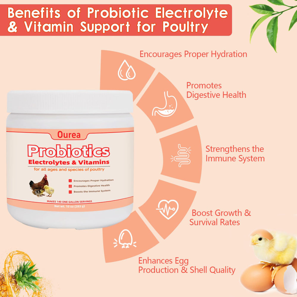 Ourea electrolito para aves, mezcla en agua rápida y fácil