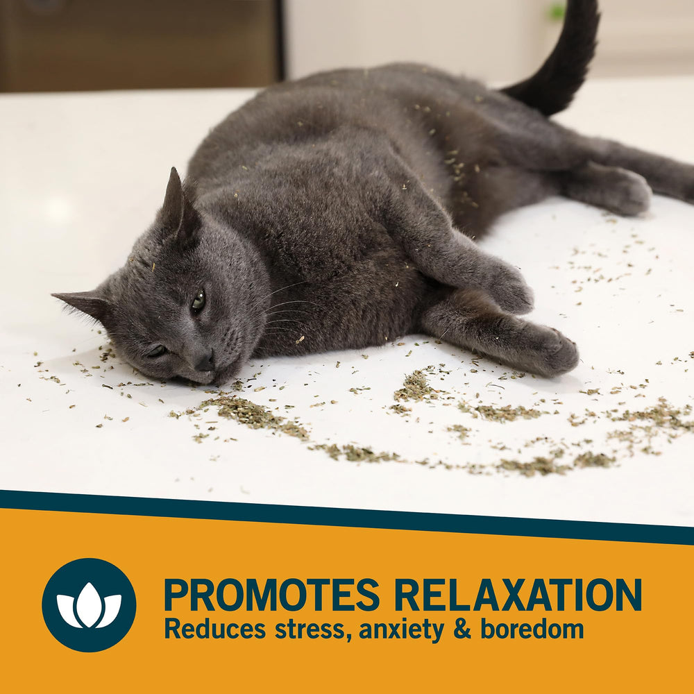 OurPets Catnip potencia el uso con juguetes y postes rascadores.