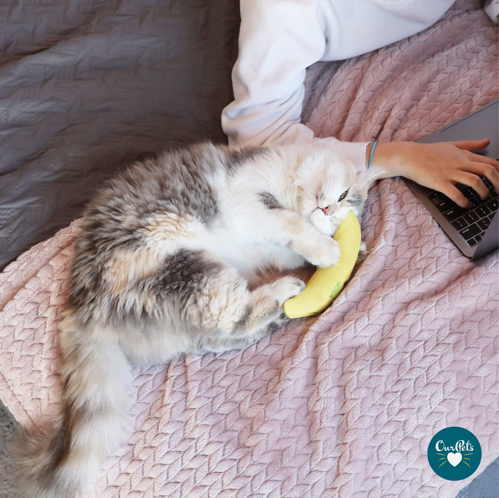 OurPets Cosmic Catnip Juguete Banana para estimulación mental y diversión.