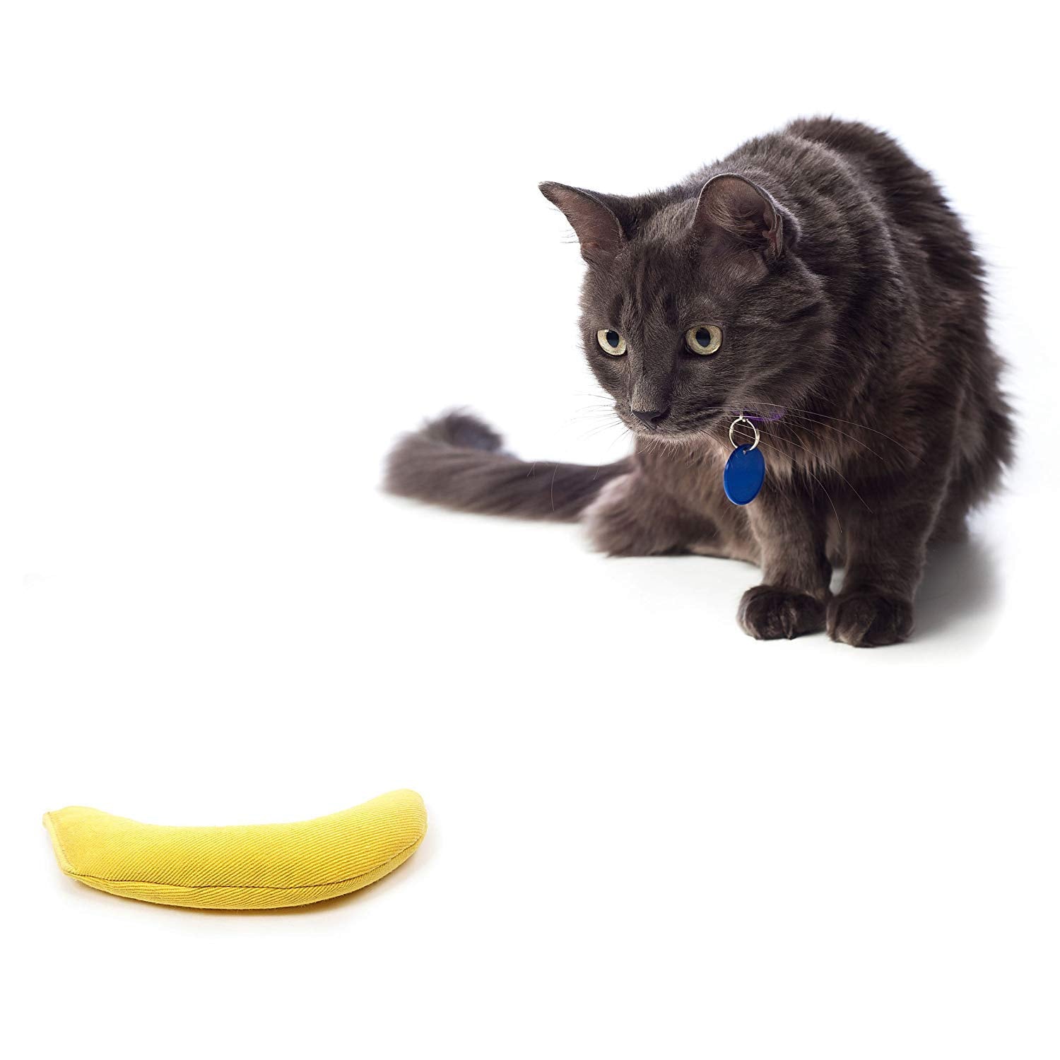 OurPets Cosmic Catnip Juguete Serpiente para juego interactivo y exploración.