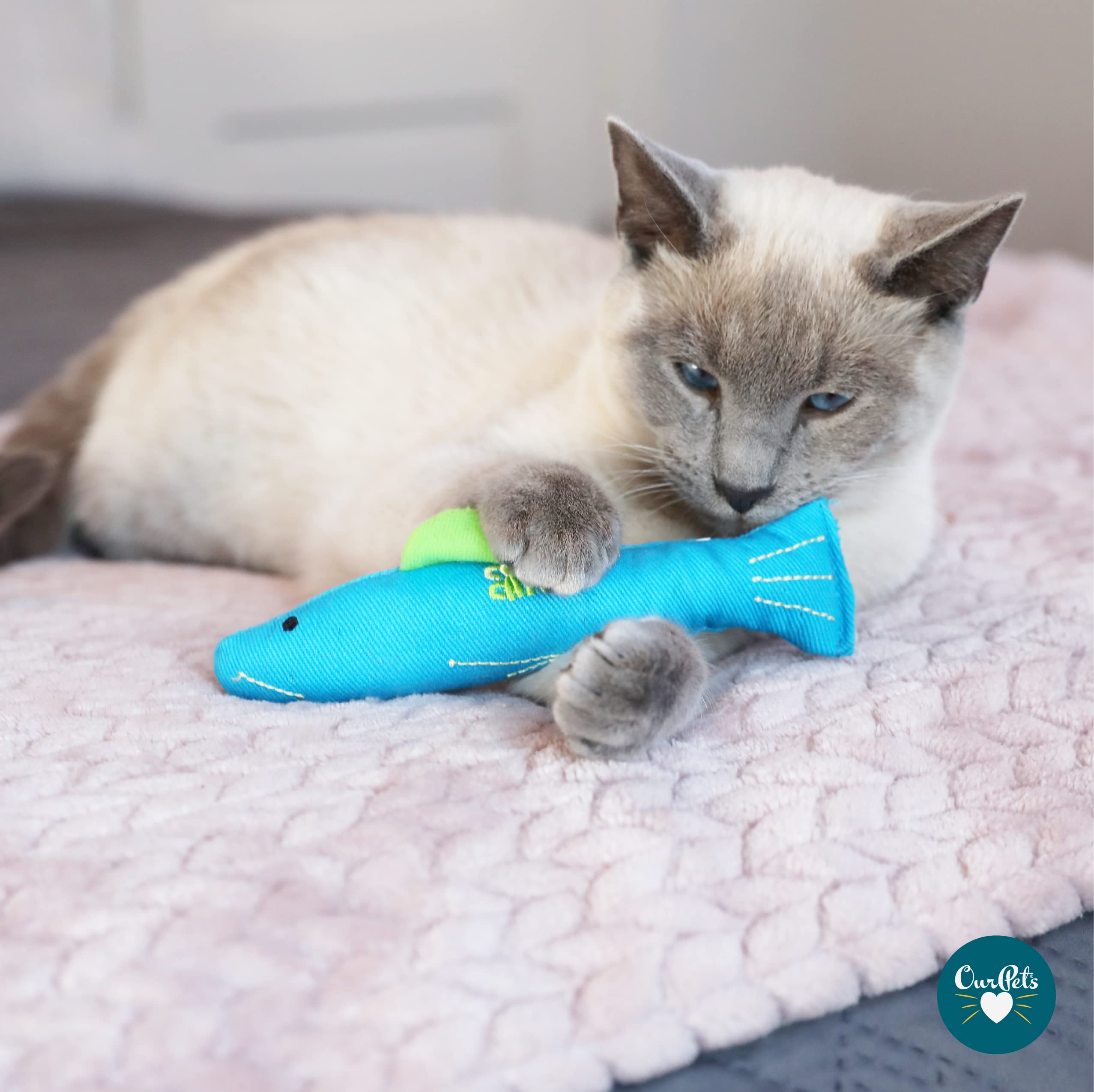 OurPets hierba gatera cósmica, aroma atractivo durante el juego.