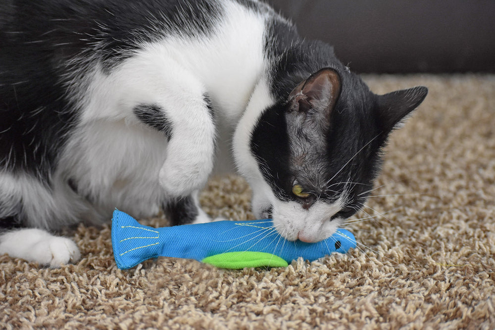 OurPets colección de siete estilos rellenos de hierba gatera cósmica.