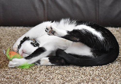 OurPets juguete interactivo con hierba gatera para estimulación mental.