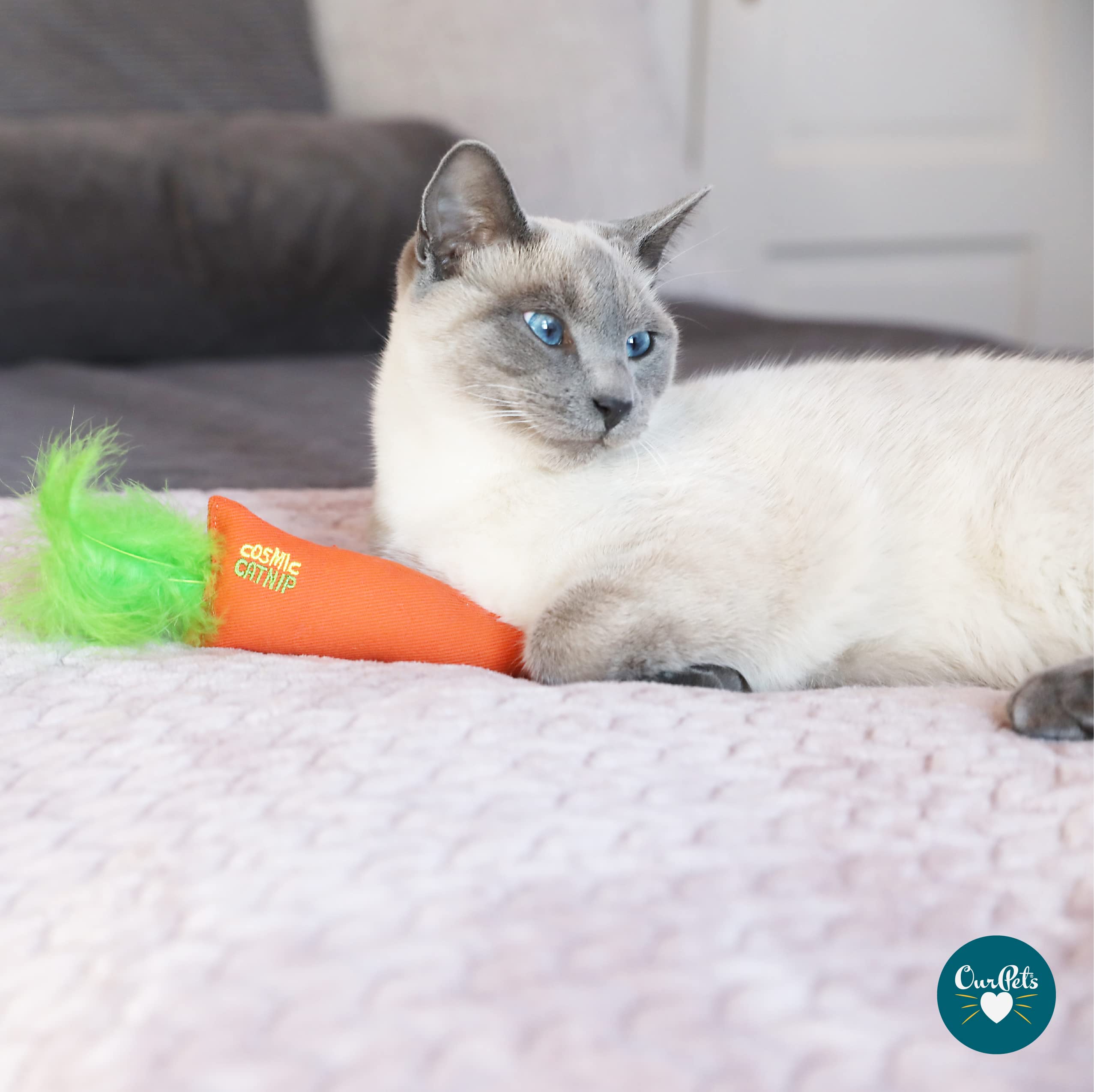 OurPets serpiente rellena de hierba gatera, perfecta para persecución suave.