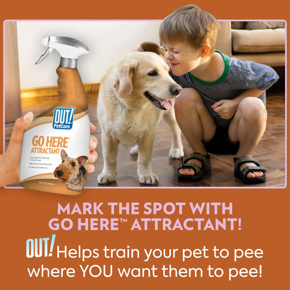 OUT! Go Here Attractant: zona designada para entrenamiento limpio y constante.