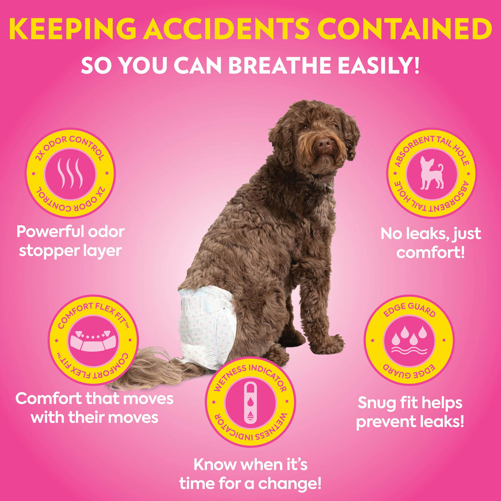 Out! PetCare Pañales para perro femenino con indicador de humedad para cambios oportunos.