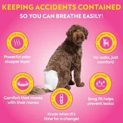 Out! PetCare Pañales para perro femenino con indicador de humedad para cambios oportunos.