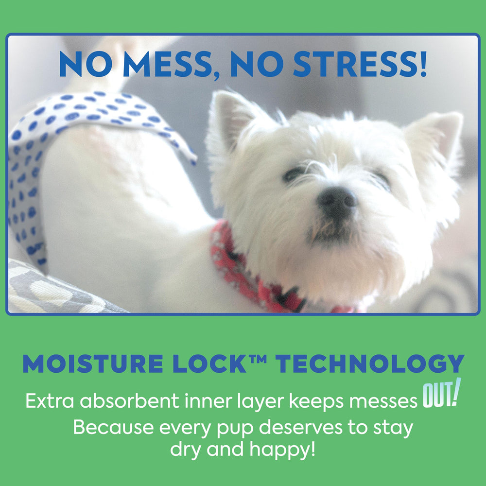 Out! PetCare solución confiable para perros macho, confort y protección