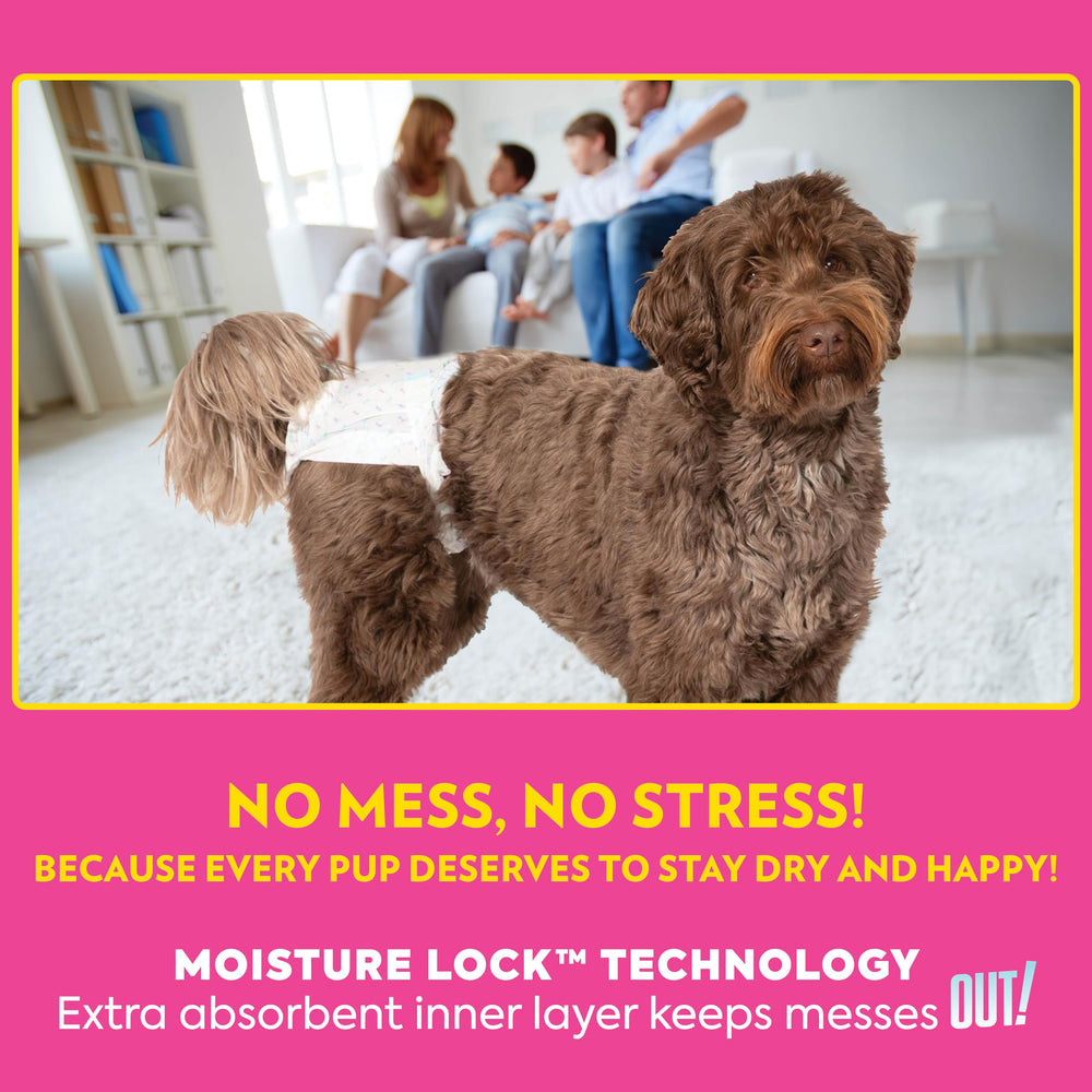 OUT! PetCare: protección fiable durante viajes para mascotas tranquilas.