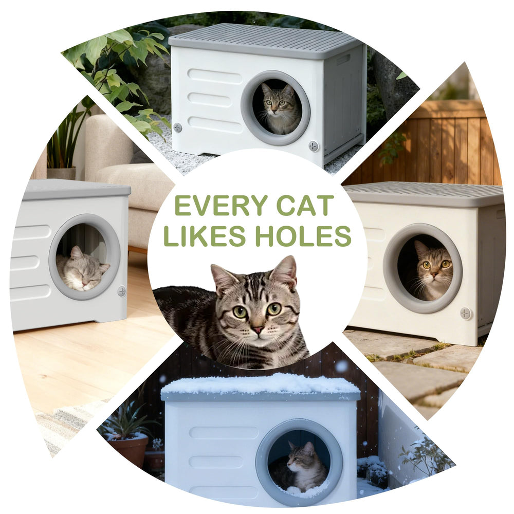 Casa exterior para gatos HDPE con cojín suave: confort cálido para descanso.