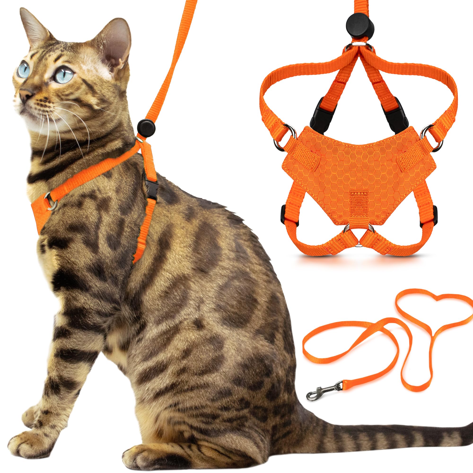 Arnés OutdoorBengal para gatito naranja, listo para paseos seguros.