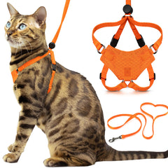 Arnés OutdoorBengal para gatito naranja, listo para paseos seguros.