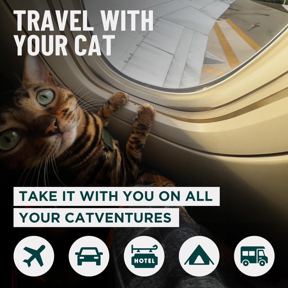 OutdoorBengal bolsa-arena transporte: contención segura para arena durante viajes.