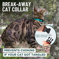 OutdoorBengal collar rojo con diseño duradero para uso diario