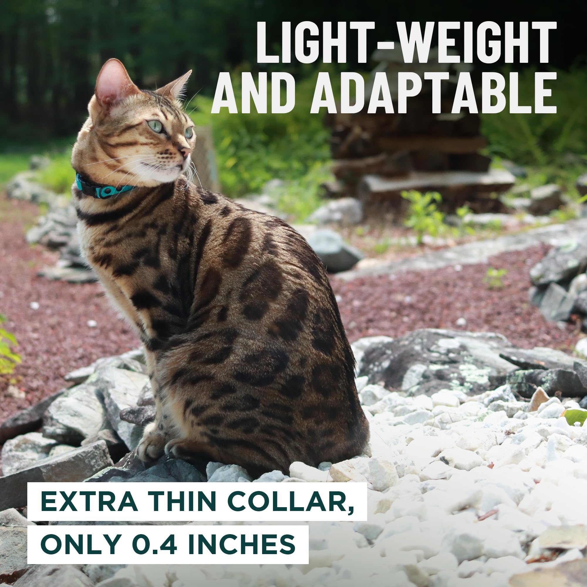 OutdoorBengal collar gato sin campana para oídos tranquilos.