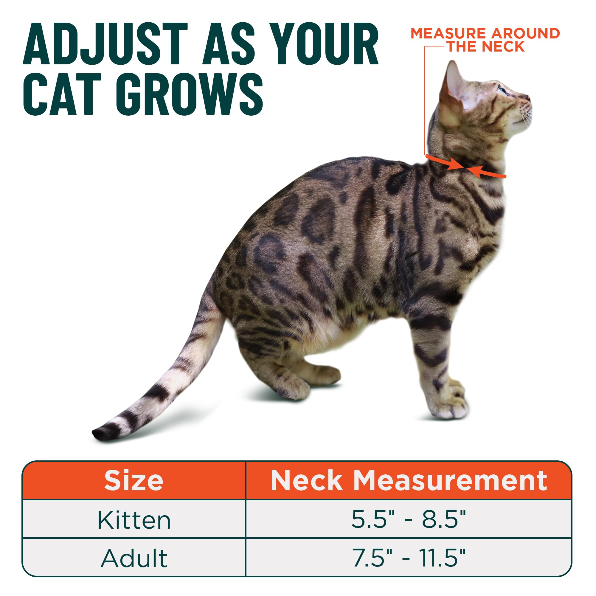 Tallas para gatos adultos y gatitos con ajuste seguro.