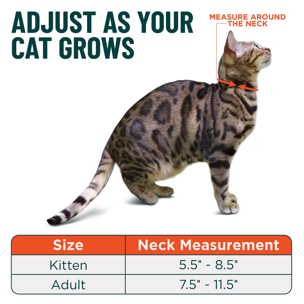 OutdoorBengal collar sin campana para oídos tranquilos.